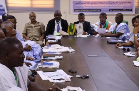 جهة نواكشوط تنظم ورشة لتبادل الخبرات مع السلطات المحلية في ولاية الحوض الغربي