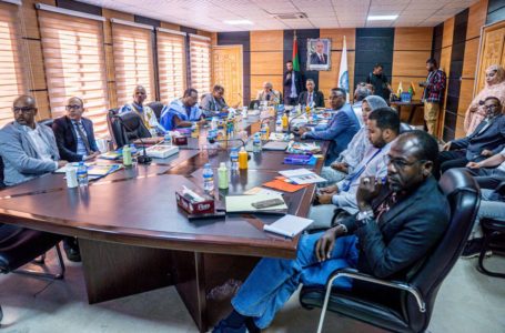 جهة نواكشوط تنظم ورشة الانطلاقة الرسمية للمشروع الجهوي للمياه والصرف الصحي