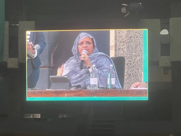  رئيسة جهة نواكشوط تشارك في جلسة رفيعة المستوى حول تعزيز القدرة على الصمود والتنمية الحضرية المستدامة
